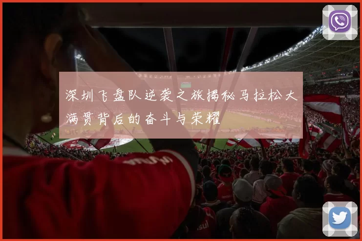 深圳飞盘队逆袭之旅揭秘马拉松大满贯背后的奋斗与荣耀