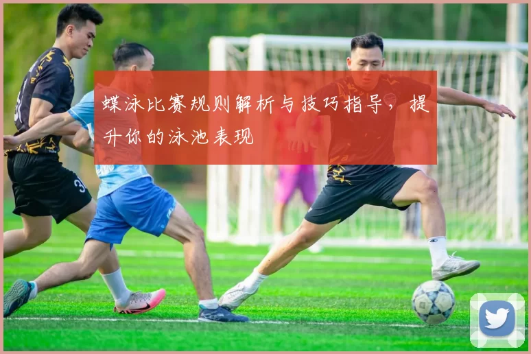 蝶泳比赛规则解析与技巧指导，提升你的泳池表现