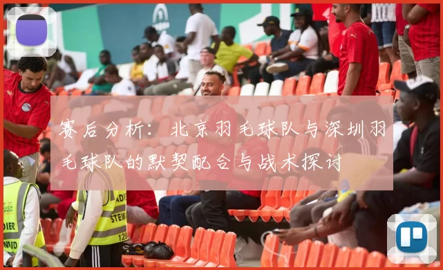 赛后分析：北京羽毛球队与深圳羽毛球队的默契配合与战术探讨