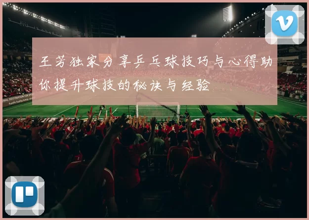王芳独家分享乒乓球技巧与心得助你提升球技的秘诀与经验