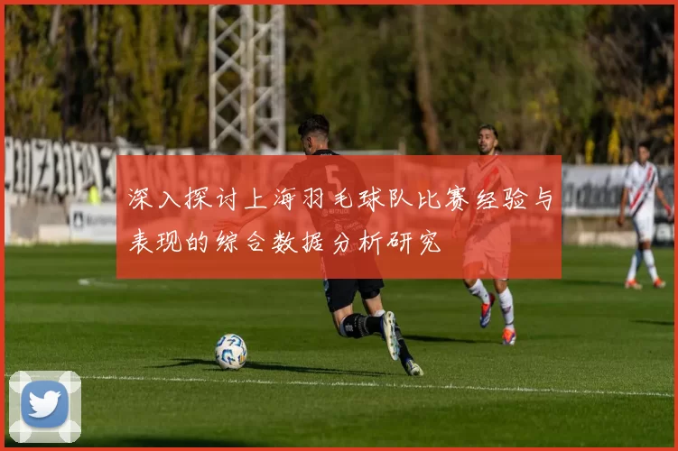 深入探讨上海羽毛球队比赛经验与表现的综合数据分析研究