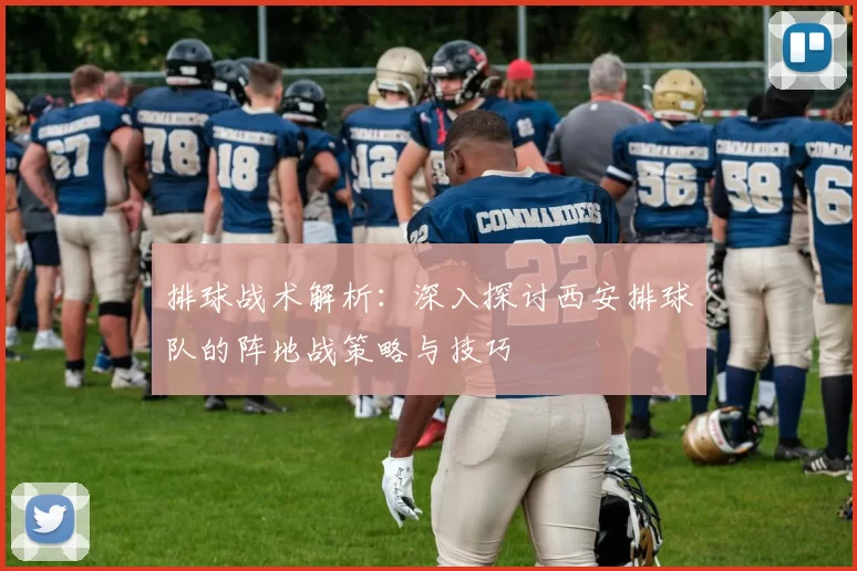 排球战术解析：深入探讨西安排球队的阵地战策略与技巧