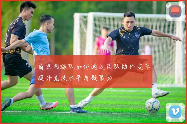 南京网球队如何通过团队协作变革提升竞技水平与凝聚力