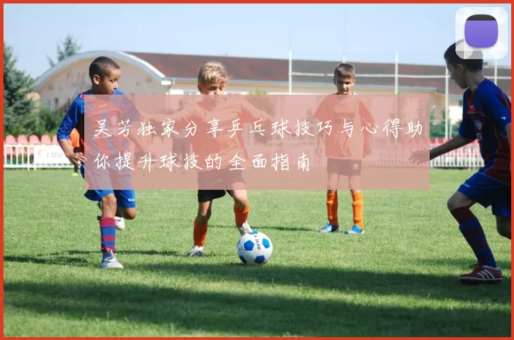 吴芳独家分享乒乓球技巧与心得助你提升球技的全面指南