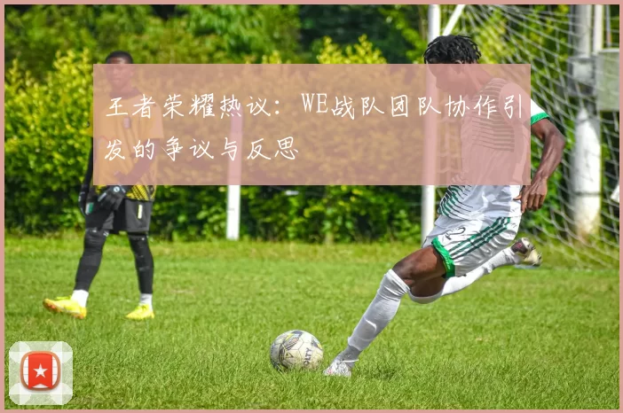 王者荣耀热议：WE战队团队协作引发的争议与反思
