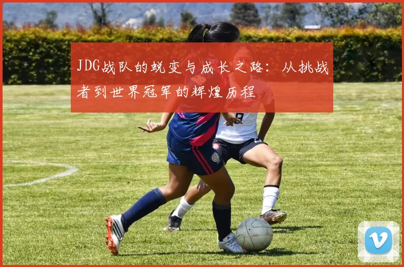 JDG战队的蜕变与成长之路：从挑战者到世界冠军的辉煌历程