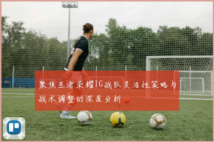 聚焦王者荣耀IG战队灵活性策略与战术调整的深度分析
