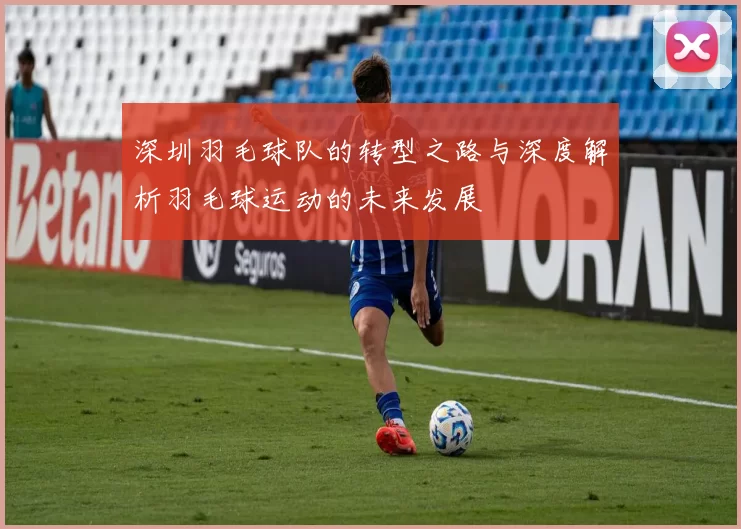 深圳羽毛球队的转型之路与深度解析羽毛球运动的未来发展
